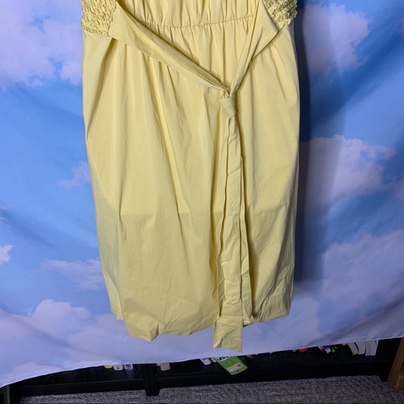 BCBGMaxazria- Yellow Ruffle Sundress size Large - Picture 8 of 13